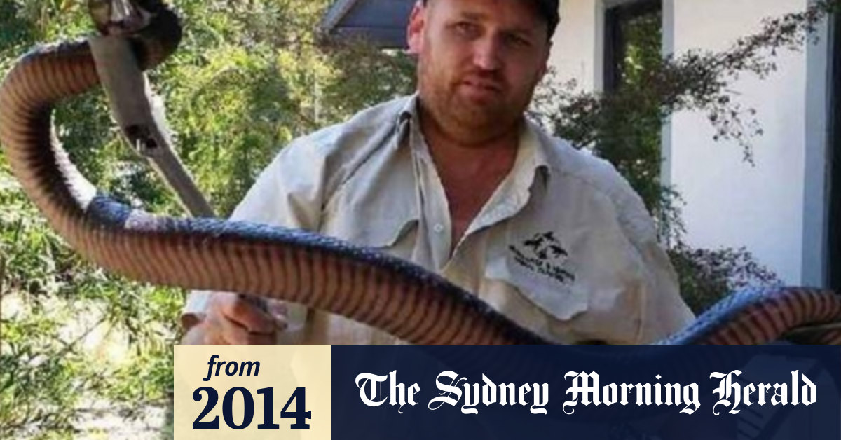 Massive redbellied black has snake catcher rethinking his call out fee